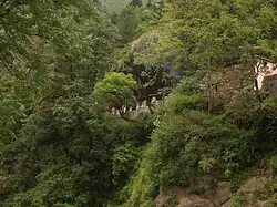 Kalpeshwar Cave Temple