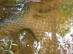 Lingas under water