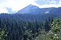 Forests of Kheer Ganga