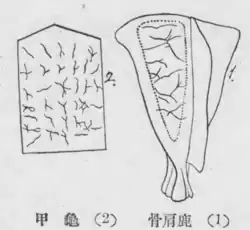 Kiboku and Futomani