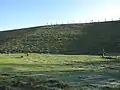 King George VI Reservoir with field used for sheep farming