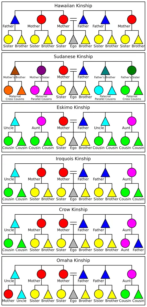 Charts of the six systems.