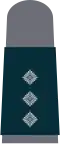 b. Dark-blue base textile with bright-grey emblems – Air Force (here: captain grey-blue flying suit)