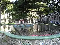 Ducks pond