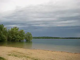 The shore of a body of water surrounded by trees.