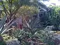 Landscape garden "28th Street"