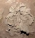 Burial 15. Excavation at exposition 10.