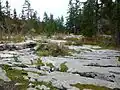 karst near the Gouffre Berger.