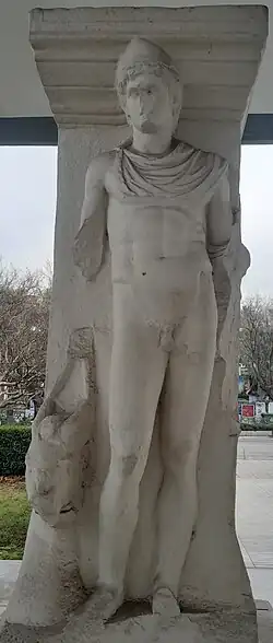 Dioscurus