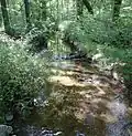 Stream