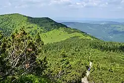 Mała Babia Góra
