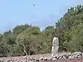 The stone, beside a railway embankement