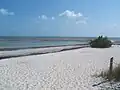 View of the beach