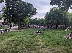 Lawn in 2021