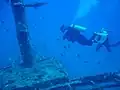 Recreational scuba divers.