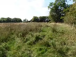 Merry's Meadows