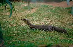 Australia Zoo