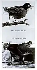 Tiger and not a morning bird, 1977 Collage and letterset on cardboard