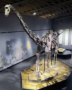 On display
