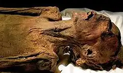 withered, grimacing corpse