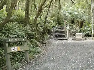 The 1000 steps