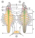 Diagrammatic reconstruction