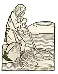 Book IV, chapter 56. ..... Mugil – Mullet