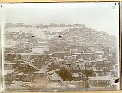 Panorama of Mush