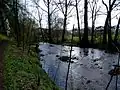 Wenne near Wenholthausen