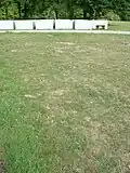 Plot in its natural state before use.
