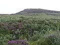 Rural Clonmany