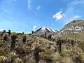 Nevado del Tolima