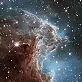 Hubble image of emission nebula NGC 2174.[6]