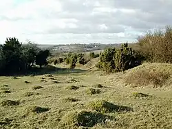 Noar Hill