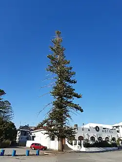 Rockingham Hotel