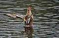 Female stretching after bathing in Kolkata.