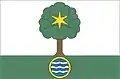 Flag of Nová Ves nad Nisou