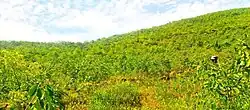 Ofa District landform