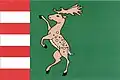 Flag of Okounov