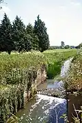 Old lock on River Lark (2005)