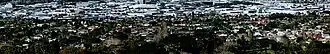 A view of the suburb from Maungakiekie / One Tree Hill