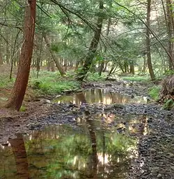 A small creek in the township