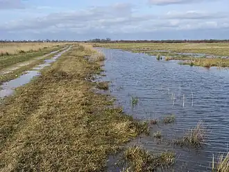Otmoor
