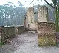 Ruins of St. Walrick [nl]
