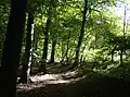 Oveys Wood
