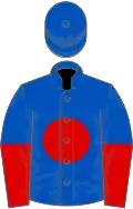 Royal Blue, Red disc, halved sleeves, Royal Blue cap