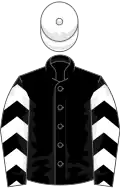 Black, white chevrons on sleeves, white cap