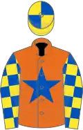 Orange, royal blue star, yellow and royal blue check sleeves, yellow and royal blue quartered cap