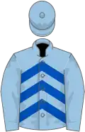 Light blue, royal blue chevrons, light blue sleeves and cap