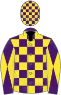 Purple and yellow check, diabolo on sleeves